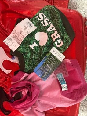 I ♥ Grass Green Dog Tee + Pink Hoodie Set
